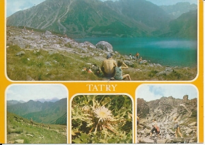 Tatry - 010850