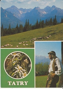 Tatry - 010853