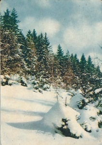 Krynica - 010883