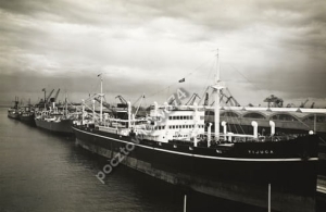 Gdynia statki handlowe - Reprodukcja 3385