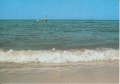 IMG_0029.jpg