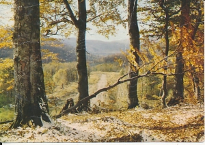 Bieszczady - 010945