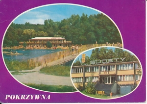 Pokrzywna - 010953