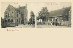 Lipa widokowa - Reprodukcja 33088