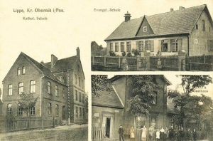Lipa widokowa - Reprodukcja 33089