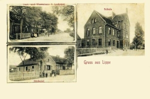 Lipa widokowa - Reprodukcja 33090