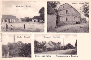 Dubin widokowa - Reprodukcja 33093