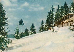 Krynica - 010999