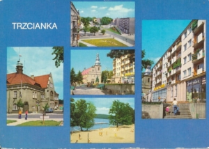 Trzciaanka - 011492