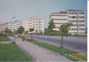 Łaziska Górne - 011745