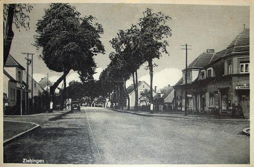 33121 (Copy).jpg