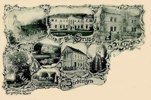 Cybinka widokowa - Reprodukcja 33123
