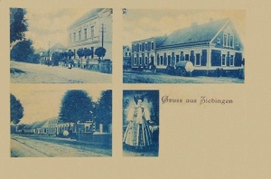 Cybinka widokowa - Reprodukcja 33129