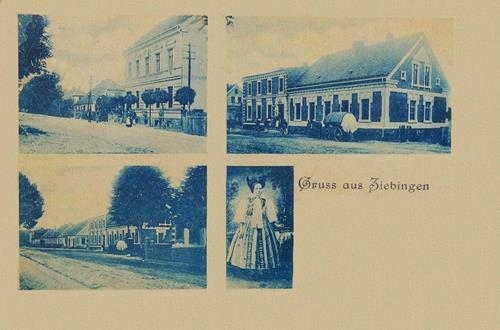 33129 (Copy).jpg