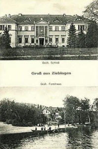 Cybinka widokowa - Reprodukcja 33132