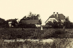 Sztutowo - Reprodukcja 33137