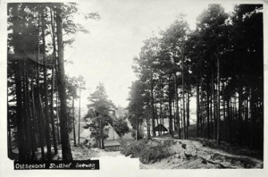 Sztutowo - Reprodukcja 33138
