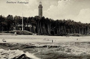 Gąski Latarnia - Reprodukcja 33151