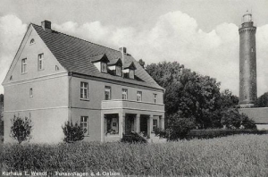 Gąski Latarnia - Reprodukcja 33152