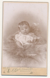 CDV Fotografia wizytowa - 9885