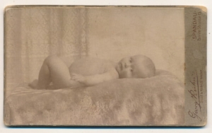 CDV Fotografia wizytowa - 10407