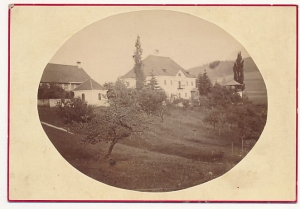 CC Stara Gabinetowa - 10748