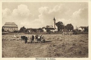 Raszowa panorama - Reprodukcja 33506