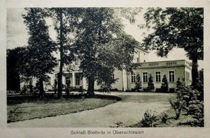 Błotnica Strzelecka - Reprodukcja 33509