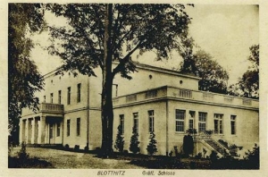 Błotnica Strzelecka - Reprodukcja 33510