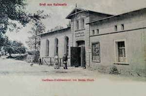 Kalinowice - Reprodukcja 33555