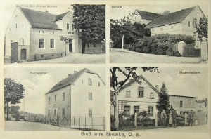 Niwki widokowa - Reprodukcja 33570