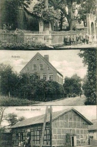 Olszowa widokowa - Reprodukcja 33572