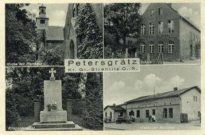 Piotrówka widokowa - Reprodukcja 33575