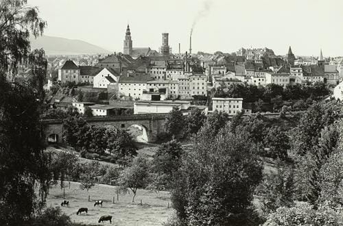 33653 (Copy).jpg