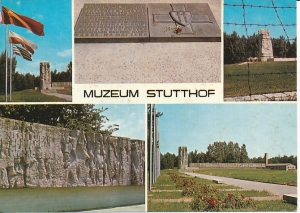 Sztutowo - 012838