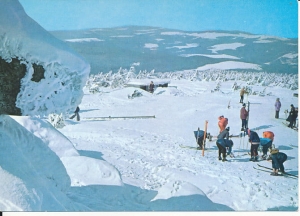 Karkonosze - 012960