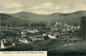 Stronie Śląskie - Reprodukcja 33679