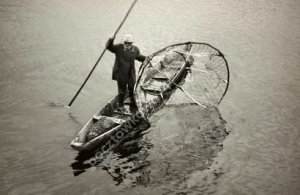 Pińsk rybak na Pinie -Reprodukcja 2286