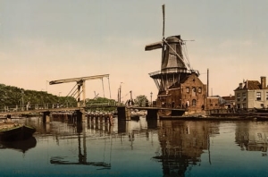 Wiatrak - Reprodukcja 5029