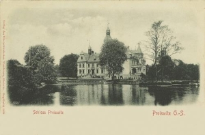 Przyszowice pałac - Reprodukcja 33929