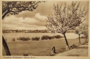 Żnin panorama - Reprodukcja 33974