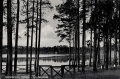 33981 (Copy).jpg