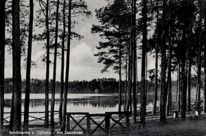 Trzcianka jezioro - Reprodukcja 33981