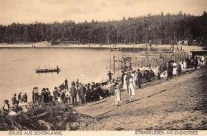 Trzcianka jezioro - Reprodukcja 33982