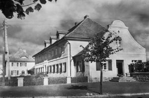 Trzcianka - Reprodukcja 33988