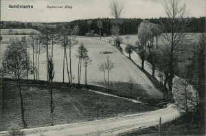 Trzcianka - Reprodukcja 34019