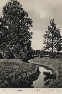 Trzcianka - Reprodukcja 34020