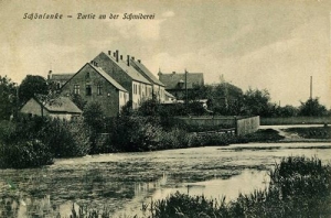 Trzcianka - Reprodukcja 34021