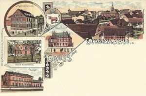 Trzcianka widokowa - Reprodukcja 34022