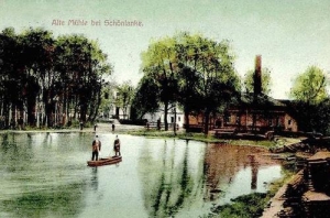 Trzcianka - Reprodukcja 34024
